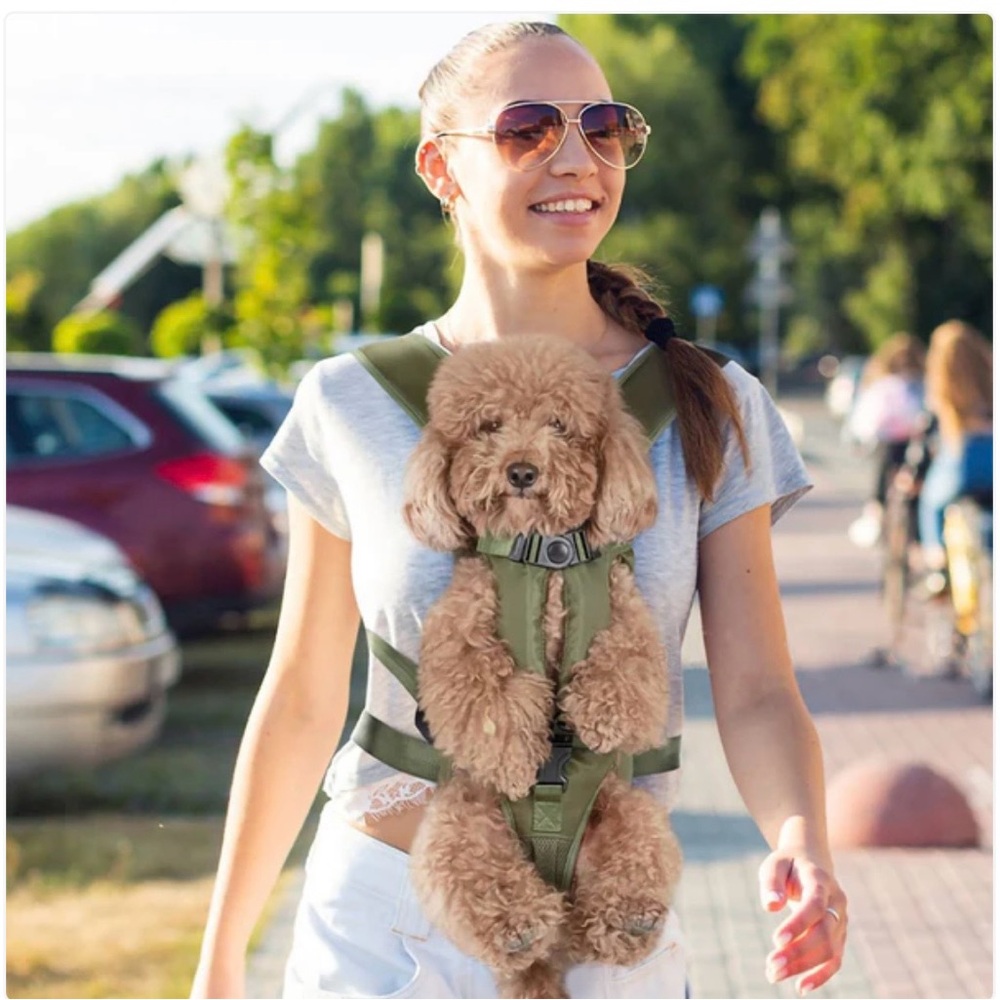 Tail Up Front Carrier Harness - Black Size Small.